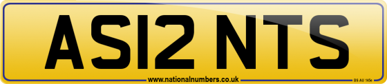 AS12 NTS