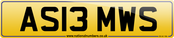 AS13 MWS