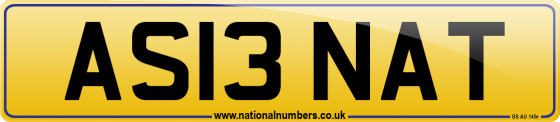 AS13 NAT