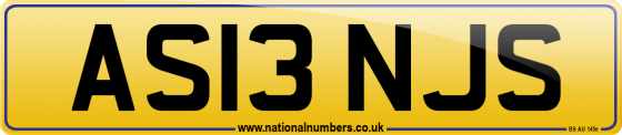 AS13 NJS