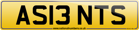 AS13 NTS