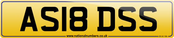 AS18 DSS