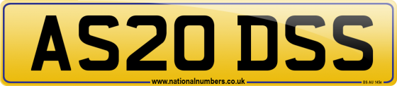 AS20 DSS