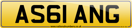 AS61 ANG