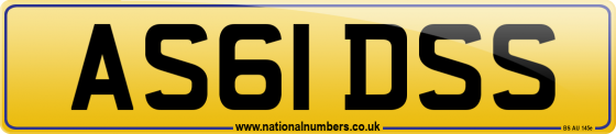 AS61 DSS