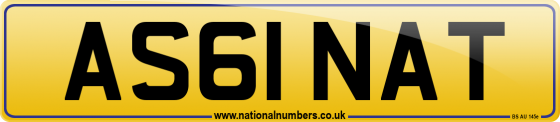 AS61 NAT