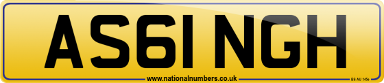 AS61 NGH