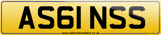 AS61 NSS