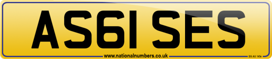 AS61 SES