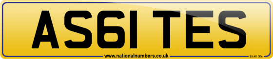 AS61 TES