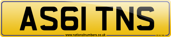AS61 TNS
