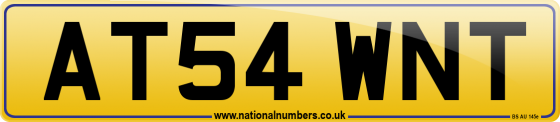 AT54 WNT