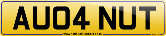 AU04 NUT