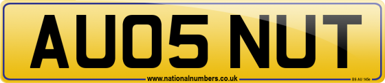 AU05 NUT