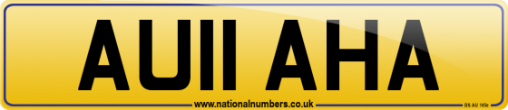 AU11 AHA