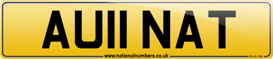 AU11 NAT