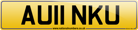AU11 NKU