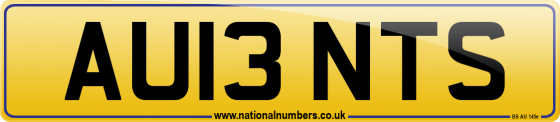 AU13 NTS