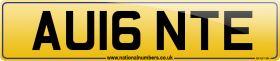 AU16 NTE