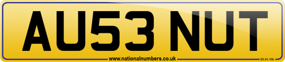 AU53 NUT