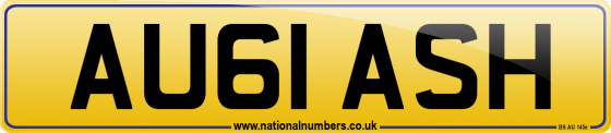 AU61 ASH