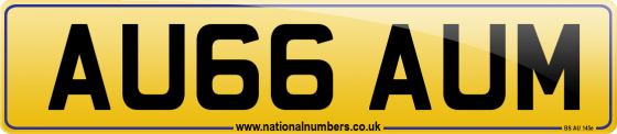 AU66 AUM