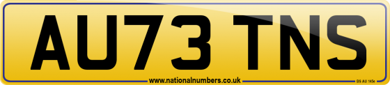 AU73 TNS