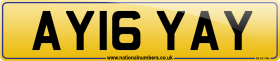 AY16 YAY