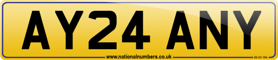 AY24 ANY