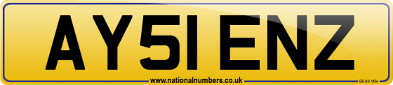 AY51 ENZ