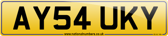 AY54 UKY
