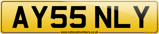 AY55 NLY