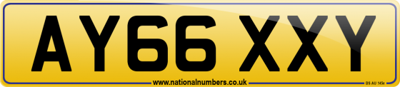 AY66 XXY