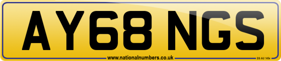 AY68 NGS