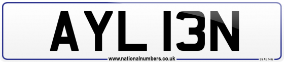 AYL 13N