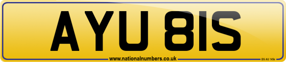AYU 81S