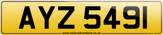 AYZ 5491
