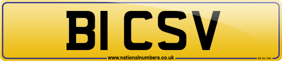 B1 CSV