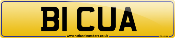 B1 CUA