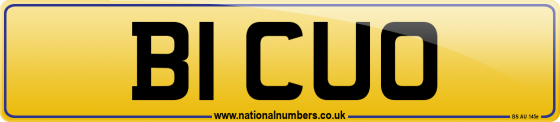 B1 CUO
