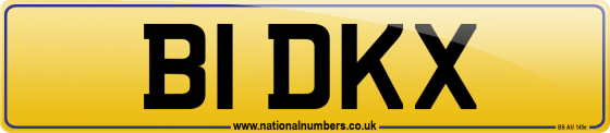 B1 DKX