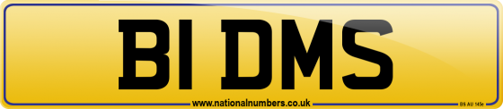 B1 DMS