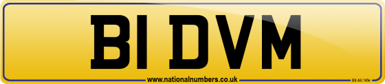 B1 DVM
