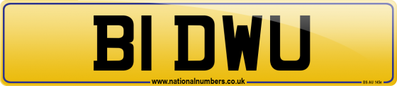 B1 DWU