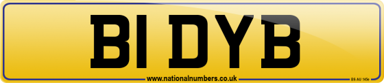 B1 DYB