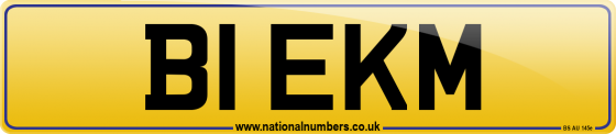 B1 EKM