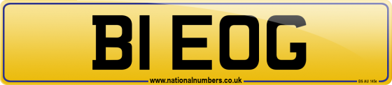 B1 EOG