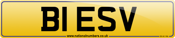 B1 ESV