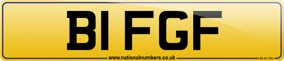 B1 FGF