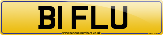 B1 FLU